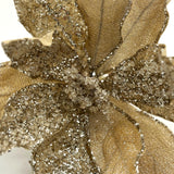 11.5" CHAMPAGNE POINSETTIA