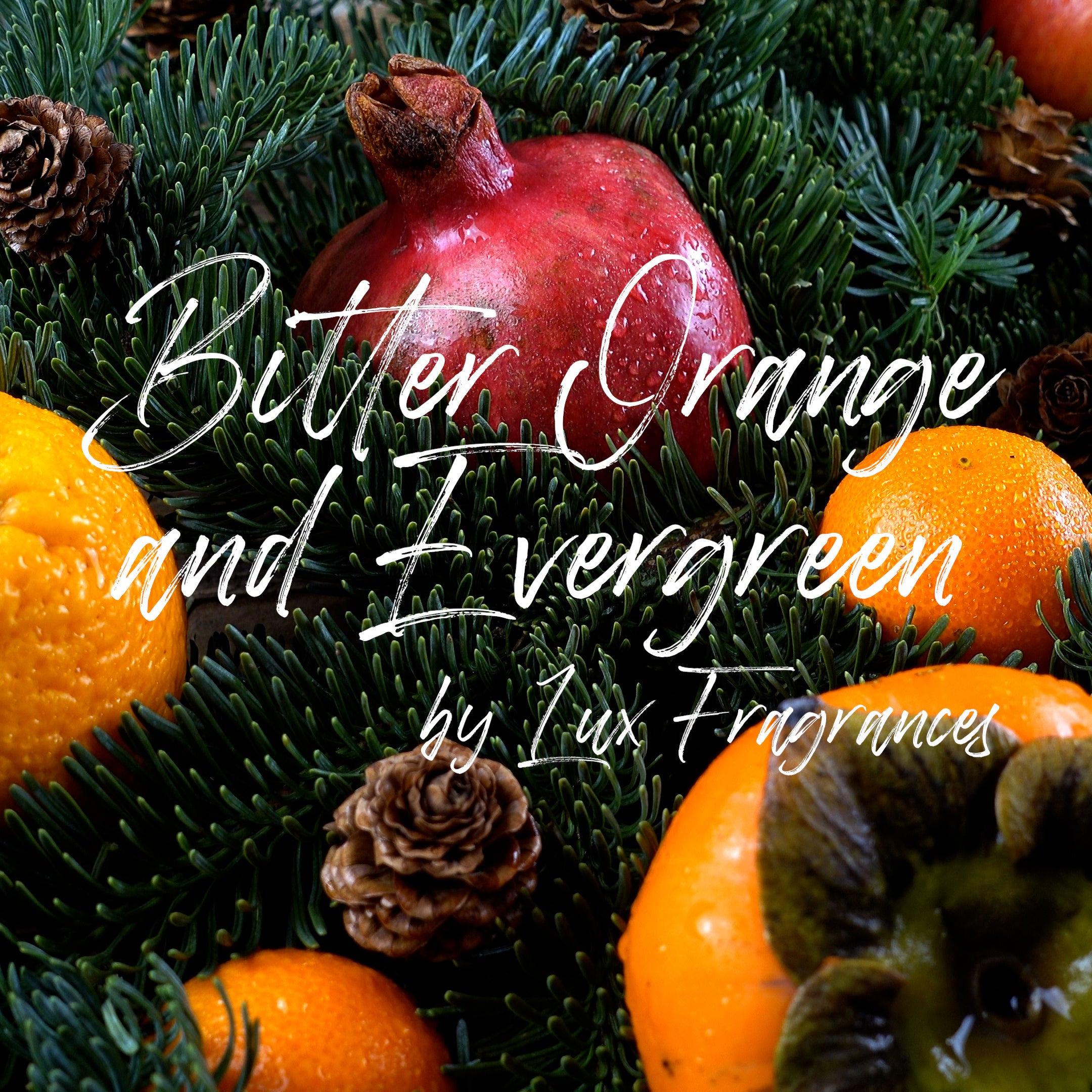 Bitter Orange and Evergreen