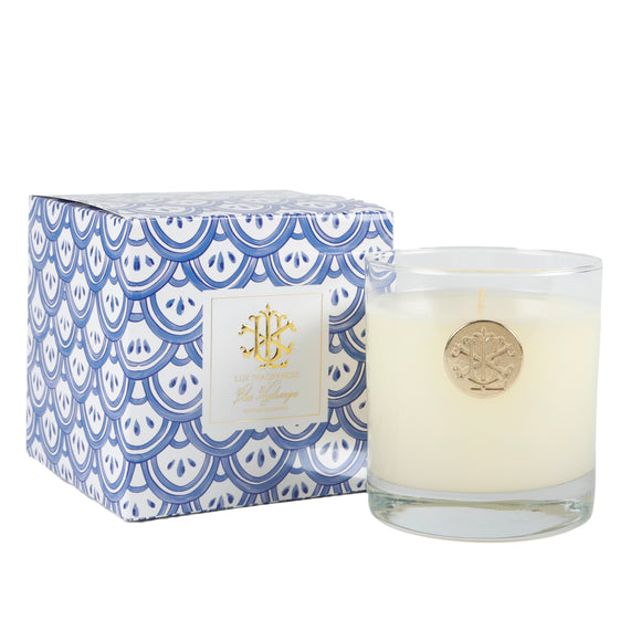 Blue Hydrangea 8 oz Blue and White Designer Box Min 6