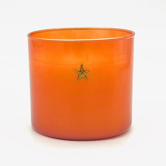 Grapefruit 15oz 2 Wick Candle (Case of 3)
