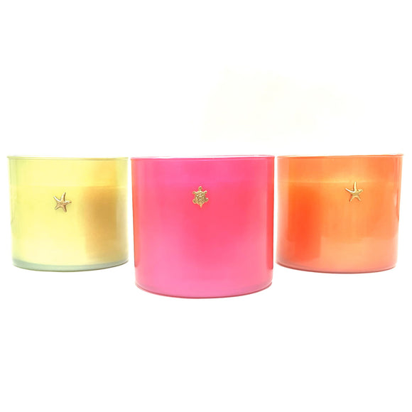 Mother's Day Variety Pack 15oz 2 Wick Candle (Case of 3, 1 of each fragrance)