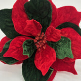 10.5" RED/GREEN POINSETTIA